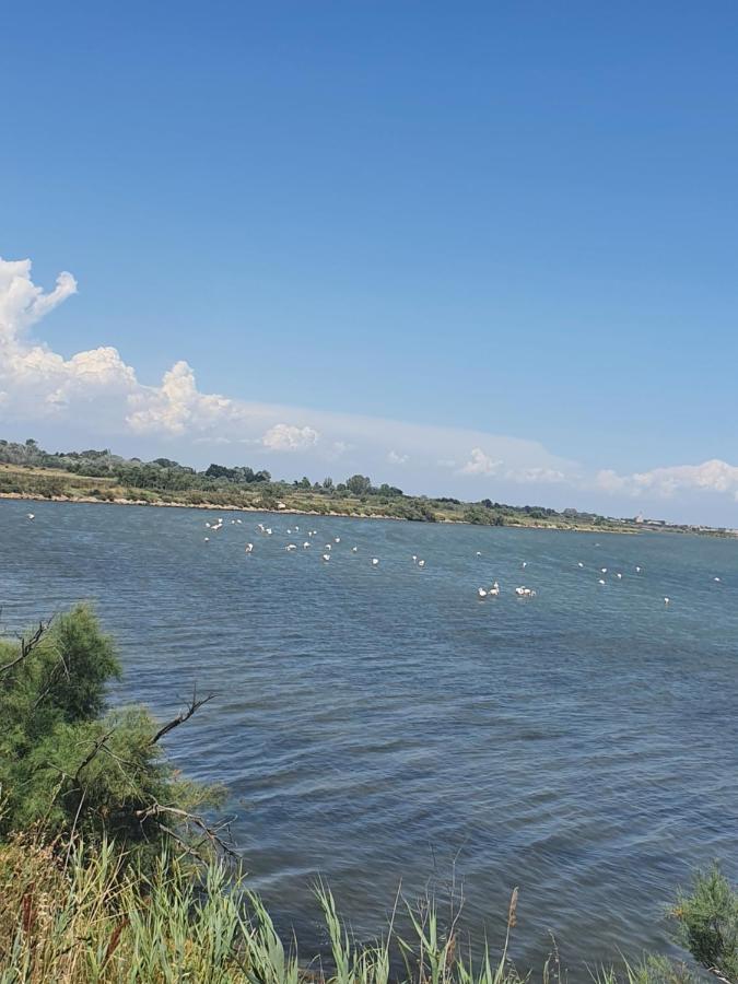 Vacances En Camargue 르그로뒤후아 외부 사진